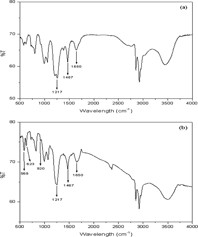 FT-IR spectra of mesoporous OH-MPTA-1 (a) and Cr-MPTA-1 (b).