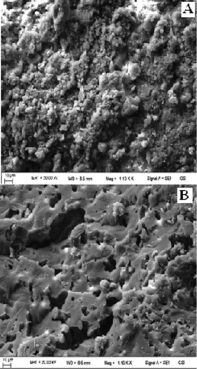 SEM image of mesoporous OH-MPTA-1 (A) and Cr-MPTA-1 (B).