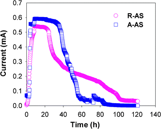 Current generation of MFCs using raw algae sludge (R-AS) and alkaline-pretreated algae sludge (A-AS) over a 1 kΩ external resistance.