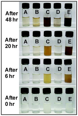 Test for the reduction of AgNO3 into Ag-nanoparticles, with different polymer solutions (PVA 10 wt% (A), DEX 10 wt% (B), MC 5 wt% (C), PVA 10 wt% + DEX 5 wt% (D), PVA 10 wt% + MC 5 wt% (E)) at the time intervals of 0 h, 6 h, 20 h and 48 h.