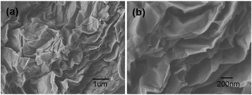 (a) Low and (b) high magnification SEM images obtained from a fracture surface of composite samples of 1.14 vol % rGO in PVA.
