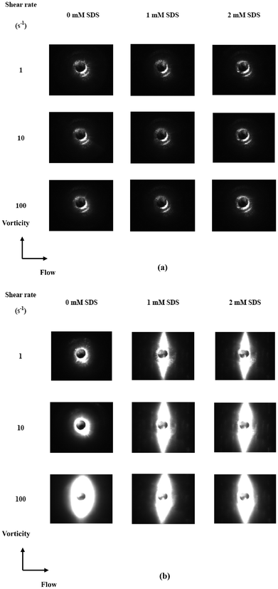 Small-angle light scattering images as a function of shear rate for TX-114 solutions at (a) 20 and (b) 25 °C.