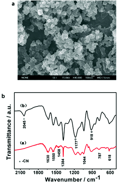 a. SEM image of the as-prepared PPy/FC particles. b. A comparison of the FT-IR spectra of pristine PPy (a) and Fe(CN)64−-doped PPy (b).