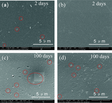 SEM images of (a, c) SPEEK and (b, d) SPEEK/PSf-ABIm membranes after being immersed in (VO2)+ electrolyte for 2 days and 100 days.