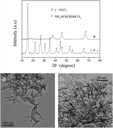 XRD patterns and TEM images of the products obtained when ammonium carbonate aqueous solution was added at once and pH 9.5 after (a) being dried at 383 K for 12 h and (b) being calcined at 873 K for 5 h.