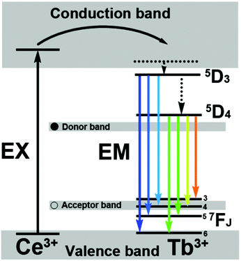 The energy transfer mechanisms in β-NaLuF4:Ce3+/Tb3+ MCs.