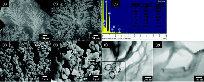 SEM micrographs (at different magnifications): (a–d) cubes from the self-piling of NSP/DGA (equivalent ratio 1 : 1); (e) EDS analysis of NSP/DGA cubes. (f and g) TEM cross-section micrograph of the hollow cubes from NSP/DGA. The inserted diagram in Fig. 3f is a conceptual illustration of the hollow cubes from the cross-sectional view.