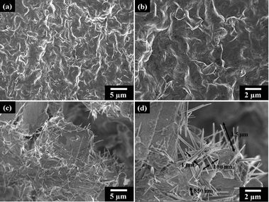 SEM micrographs of the controlled self-assembled morphologies; (a and b) none of the ordered structure from the pristine Na+-MMT under self-assembling conditions and (c and d) rod-like microstructures from the NSP (without DGA modification) self-piling. All samples were prepared by the same method of controlled water evaporation on glass.