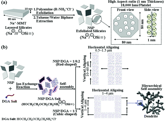 (a) Schematic view of the exfoliation of a clay layered structure into randomized silicate platelets (NSP) and description of the surface ionic charges on the thin geometric shape unit. (b) Conceptual illustration of NSP/DGA self-piling routes of vertical versus horizontal growth by varying the DGA amount.