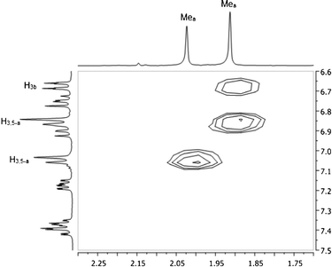 NOESY map of 1 at −60 °C in methylene chloride-d2.