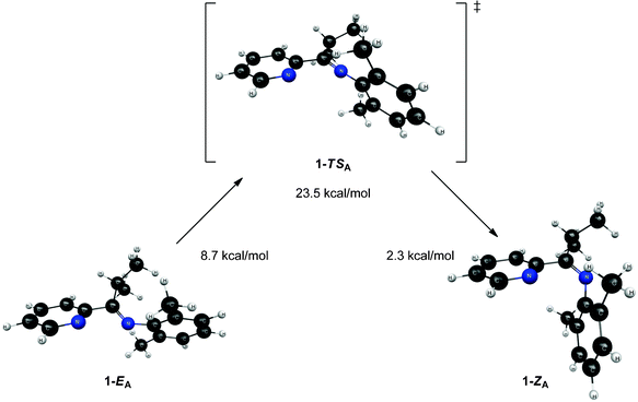 Structures and relative energies associated with the isomerization pathway between 1-EA and 1-ZA. Geometries are optimized at the B3LYP/6-31G* level of theory and energies are determined using single point MP2/6-311+G** calculations. The relative energies are referenced to 1-ZB.