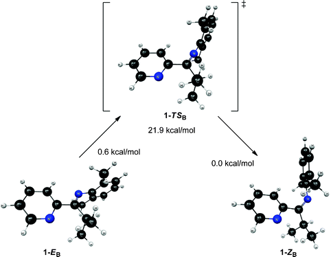 Structures and relative energies associated with the isomerization pathway between 1-EB and 1-ZB. Geometries are optimized at the B3LYP/6-31G* level of theory and energies are determined using single point MP2/6-311+G** calculations. The relative energies are referenced to 1-ZB.