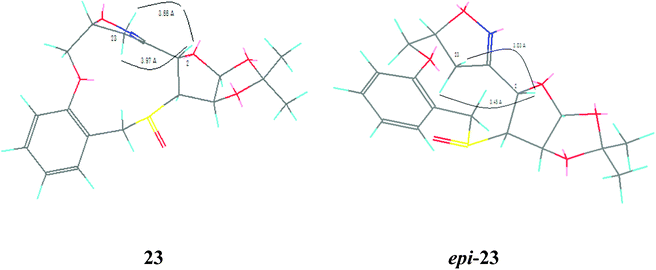 Energy-minimised Chem3D structures of 23; left-R, right-S.