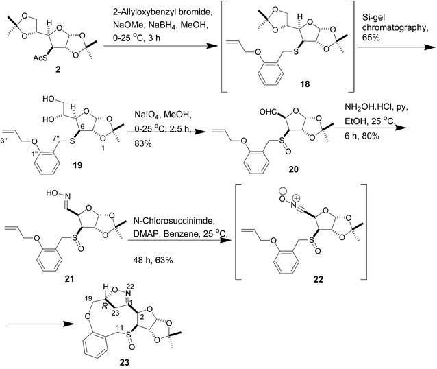 Nitrile oxide cycloaddition route to medium-ring sulfur heterocycles.