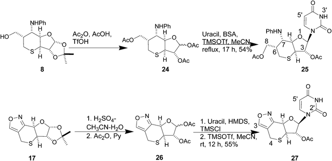 Conversion of sulfur heterocycles to nucleosides.