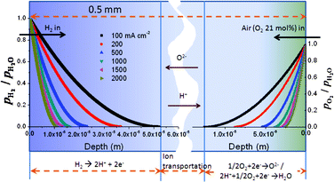 The reaction depth of anodic and cathodic processes with H2 and O2. Porosity and thickness of the materials are 0.5 and 0.5 mm, respectively.