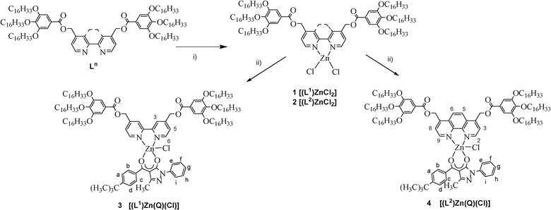 The synthesis of complexes 1–4. Reagents and conditions: i) ZnCl2, CHCl3, 6 days, r.t.; ii) KQ, CH2Cl2, 3 days, r.t., N2.