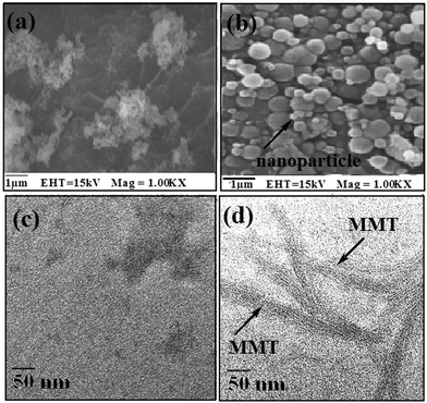 SEM micrographs of (a) chitosan-MMT nanoparticles without isoniazid, (b) NPV and TEM micrographs of (c) NPVI and (d) NPV.