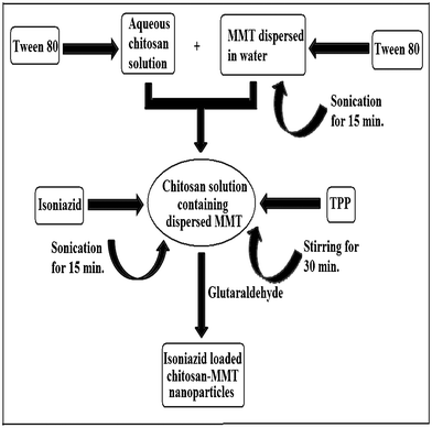 Flowchart diagram showing the main steps in the preparation of isoniazid loaded chitosan nanoparticles.