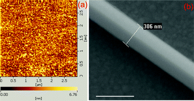 (a) AFM image of Ag film, and (b) a typical SEM image of Ag nanowire-Ag film system. The scale bar in (b) is 500 nm.