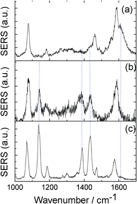 (a) and (b) SERS spectra of PATP measured at the very beginning and after 60 s of laser radiating in Ag nanowire on Ag film system, respectively, and (c) the SERS spectrum of DMAB in Ag aggregation system.