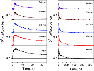 Femtosecond (λpump = 405 nm) photolysis of PtBr62− (1.9 × 10−3 M) in methanol solutions. Cuvette, 1 mm. Kinetics of transient absorption at different wavelengths and time domains. Solid lines are the best three-exponential fits (eqn (12)) after reconvolution with the instrument response function.