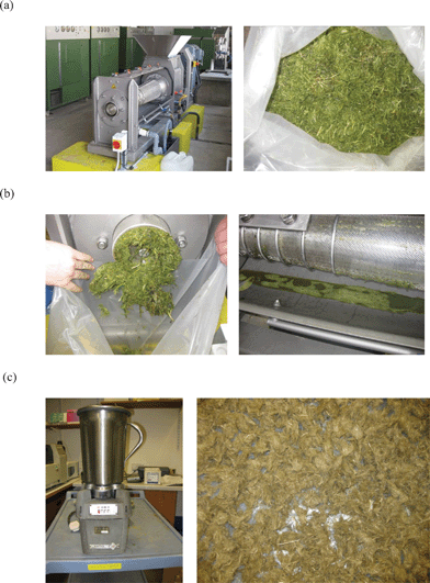 Biorefining of ryegrass biomass, (a) an example of primary processing ryegrass (fresh material) using screw press (b) pressed fibre cake and juice and (c) Secondary processing—processing of pressed grass with water using a mechanical blender to remove non-cellulosic components and dried fibre.