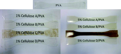 Appearance of NFC-PVA composite test samples containing 1 and 5 wt% showing the extent of nanocellulose dispersion in the PVA matrix especially for product C at 5 wt%.