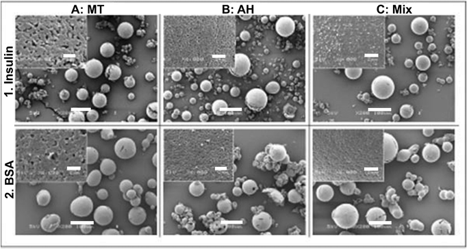 SEM micrographs: a general view (×200, the bar represents 100 μm) and the surface morphology (×6000, inserts, the bar represents 2 μm) of microspheres. (A) mechanically treated (MT) starch loaded with: (1) insulin, (2) BSA; (B) acid-hydrolyzed (AH) starch loaded with: (1) insulin, (2) BSA; (C) a mixture of MT/AH loaded with (1) insulin, (2) BSA. Reproduced from ref. 298 by permission of The Royal Society of Chemistry.