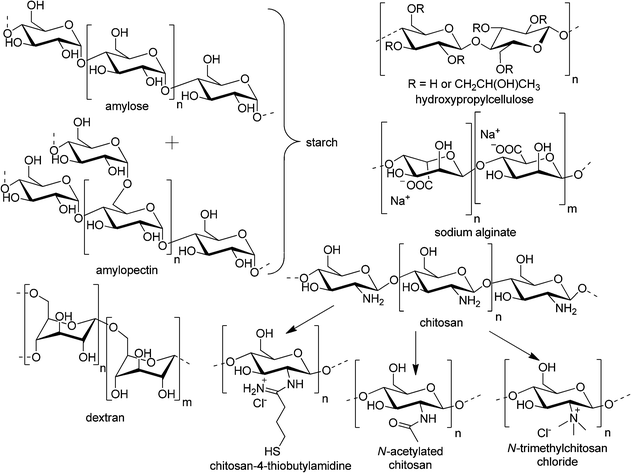 Schematic representation of the most commonly used polysaccharides for transepithelial delivery.