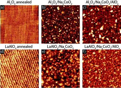 Atomic force microscopy images (3 × 3 μm2) of annealed Al2O3 and LaAlO3 substrates (a and d), after growth of a 60 nm NaxCoO2 thin film (b and e) and after growth of an additional 80 nm amorphous AlOx capping layer (c and f).