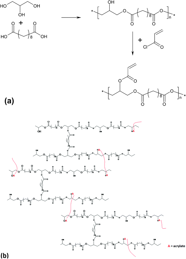 (a) Modification of poly(glycerol sebacate) pre-polymer with acrylate moieties for photo-initiated curing; (b) PGSA after polymerisation under UV light.25 Reprinted with permission of ACS publications.
