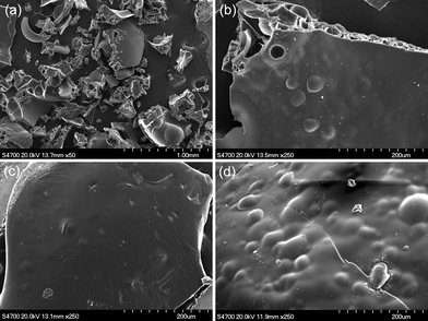 SEM images of the residual chars obtained from the vertical burning tests for cyclolinear phosphazene-based epoxy thermosets cured with three hardeners; (a) the outline of a residual char, (b) thermoset cured with MeTHPA, (c) thermoset cured with novolak, and (d) thermoset cured with DDM.
