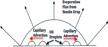 A schematic of the evaporating sessile drop and the sliding of the oil droplets from the resulting capillary advection (shown in red arrows).