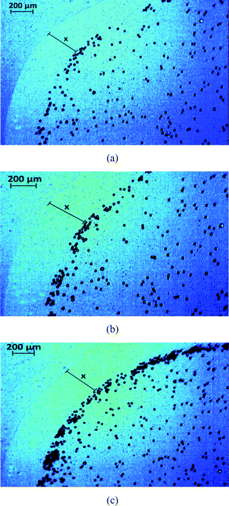 The dynamics of oil droplets on glass captured at (a) t= 5 s, (b) t = 24 s and (c) t = 34 s. The enclosure distance measured in (c) ∼344 μm. The sessile drop contact angle measured at t = 34 s ∼3°, so that the theoretical prediction of the “enclosure” effect [following eqn (3)] is 329.4 μm (in this theoretical calculation, we use rc = 6.4 μm and θd ≈ θ0 ≈ 140°).