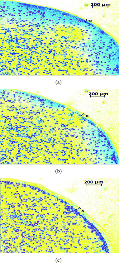 The dynamics of oil droplets on polycarbonate captured at (a) t = 580 s, (b) t = 745 s and (c) t = 750 s. The enclosure distance measured in (c) ∼50 μm. The sessile drop contact angle measured at t = 750 s ∼ 10°, so that the theoretical prediction of the “enclosure” effect [following eqn (3)] is 53 μm (in this theoretical calculation, we use rc = 47 μm and θd ≈ θ0 ≈ 45°).