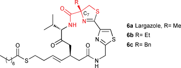 Structure–activity relationship study of largazole