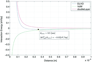 DLVO energy calculation between DNA and a mica surface in TAE/Mg2+ 12.5 mM buffer, 300 K. The green line indicates the van der Waals energy curve. The red line indicates the double-layer energy curve, and the blue line is the DLVO energy curve, calculated as the sum of both energies.