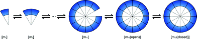 Simulation model of self-assembly in free solution.