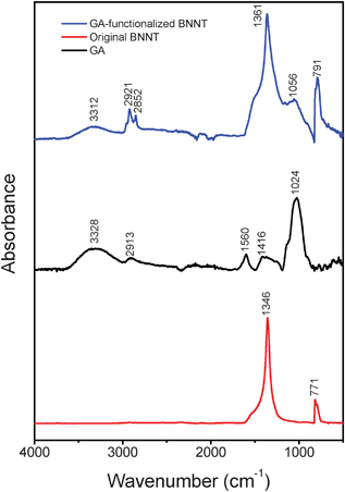 Comparative FT-IR spectra of purified GA-functionalized BNNTs, pure GA and the original BNNTs.