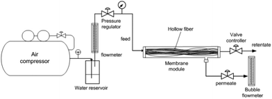 Capturing carbon dioxide from air using a fixed carrier facilitated ...