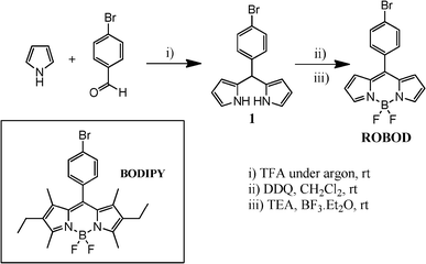 Synthetic scheme used for the preparation of the unsubstituted dye, ROBOD. The inset gives the chemical formula of the substituted dye, BODIPY.