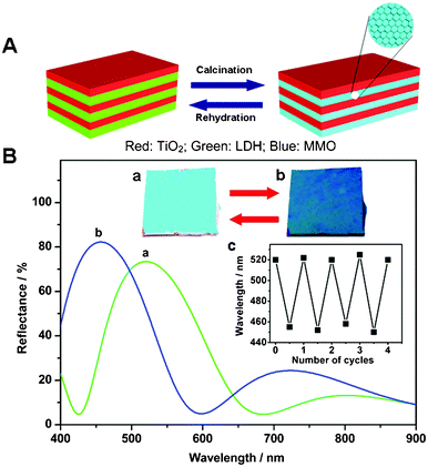 (A) Schematic illustration of the optical switching of LDH/TiO2 stacks during a calcination–rehydration cycle; (B) optical response and digital photographs showing the reversible changes in reflectance spectra and visual color. The inset c displays the reversible conversion of the stop band position with repeated calcination–rehydration cycles.