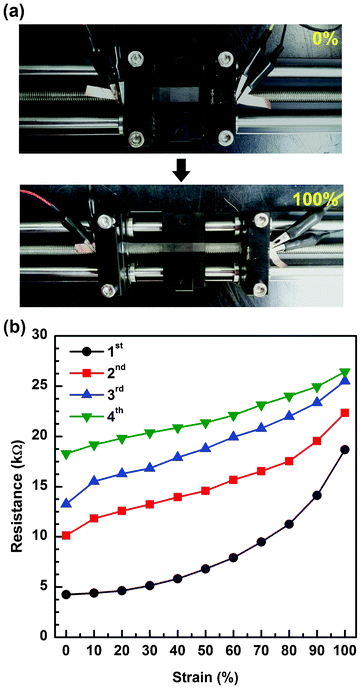 (a) Images of a-SWCNT/PU conductor under tensile strain of 0 and 100%. (b) Resistance of the a-SWCNT/PU conductor as a function of tensile strain over multiple stretching cycles.