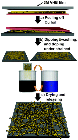 Schematic illustration of the procedure used to pre-strain the a-SWCNT/PU conductor.