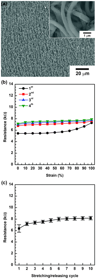 (a) SEM images of pre-strained a-SWCNT/PU conductor, (inset) magnified image. (b) Resistance of the pre-strained a-SWCNT/PU conductor as a function of tensile strain during each stretching cycle. (c) The stability of the resistance under multiple stretch–release cycles. Error bars indicate the minimum and maximum values of resistance while stretching.