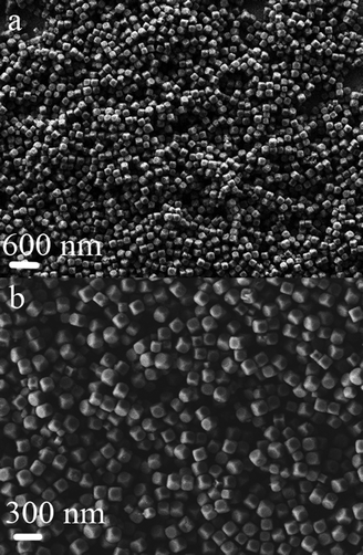 SEM images of as-prepared Mn3[Co(CN)6]2·nH2O.