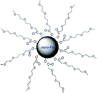 Scheme of a nanoscale iron particle covered by MEEA.