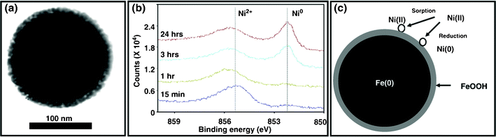 (a) TEM images of iron nanoparticles, (b) HR-XPS survey on the Ni 2p3/2 of iron nanoparticles and (c) a conceptual model for nickel deposition on iron nanoparticles.170