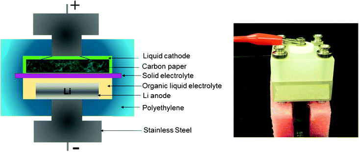 This figure is a schematic diagram of the cell designed for testing a liquid as the cathode with Li metal as the anode. The image shows the fully assembled cell under test.